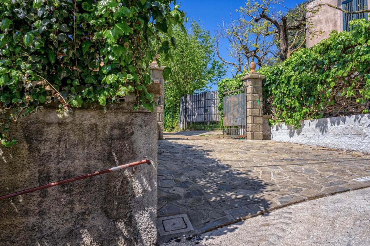 Villa Albero di Giada Massa Lubrense Esterno foto