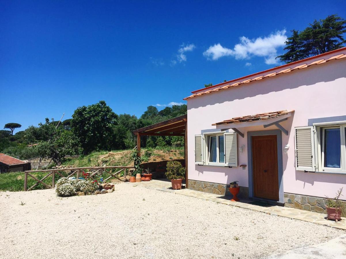 Villa Albero di Giada Massa Lubrense Esterno foto